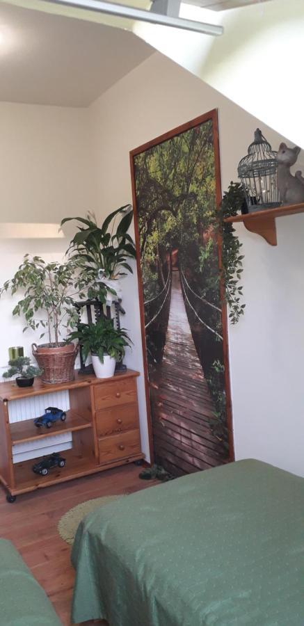 Diána Apartman *